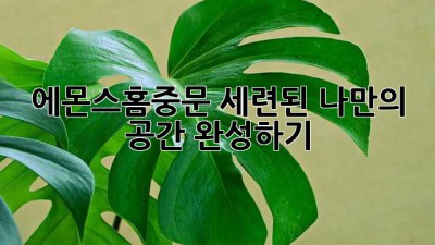 에몬스홈중문: 세련된 나만의 공간 완성하기